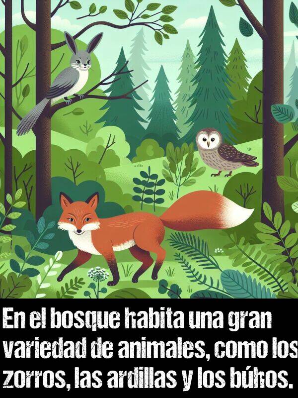 como: En el bosque habita una gran variedad de animales, como los zorros, las ardillas y los bhos.