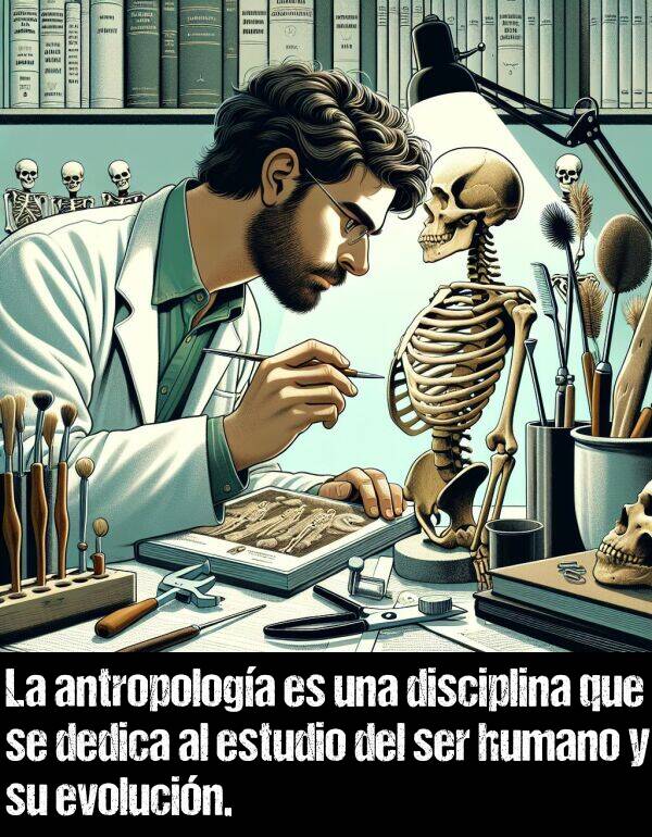 estudio: La antropologa es una disciplina que se dedica al estudio del ser humano y su evolucin.