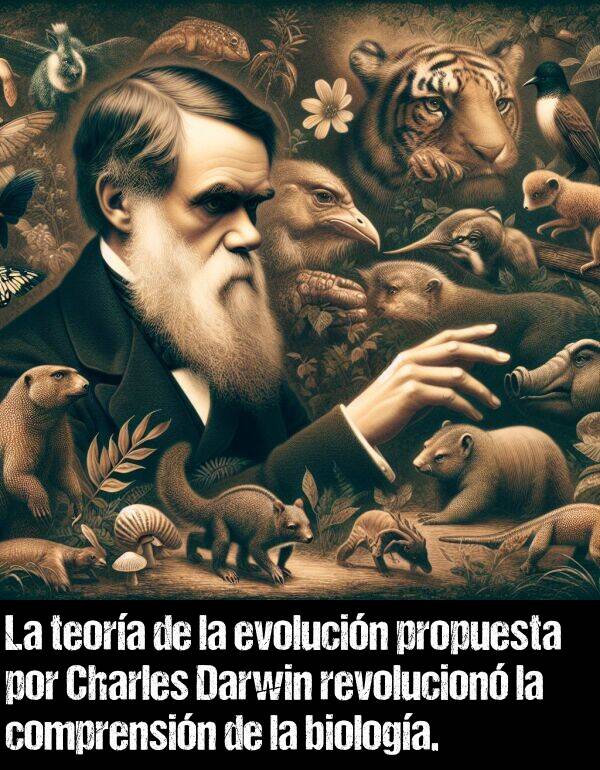 comprensin: La teora de la evolucin propuesta por Charles Darwin revolucion la comprensin de la biologa.