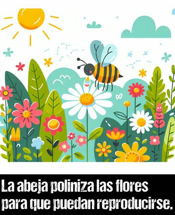 reproducir: La abeja poliniza las flores para que puedan reproducirse.