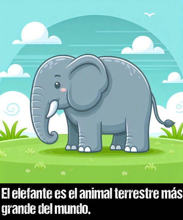 grande: El elefante es el animal terrestre ms grande del mundo.