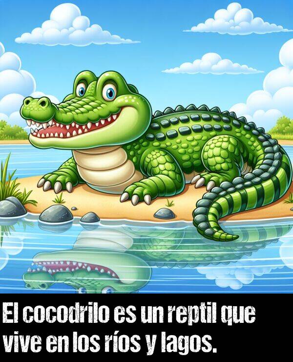 reptil: El cocodrilo es un reptil que vive en los ros y lagos.