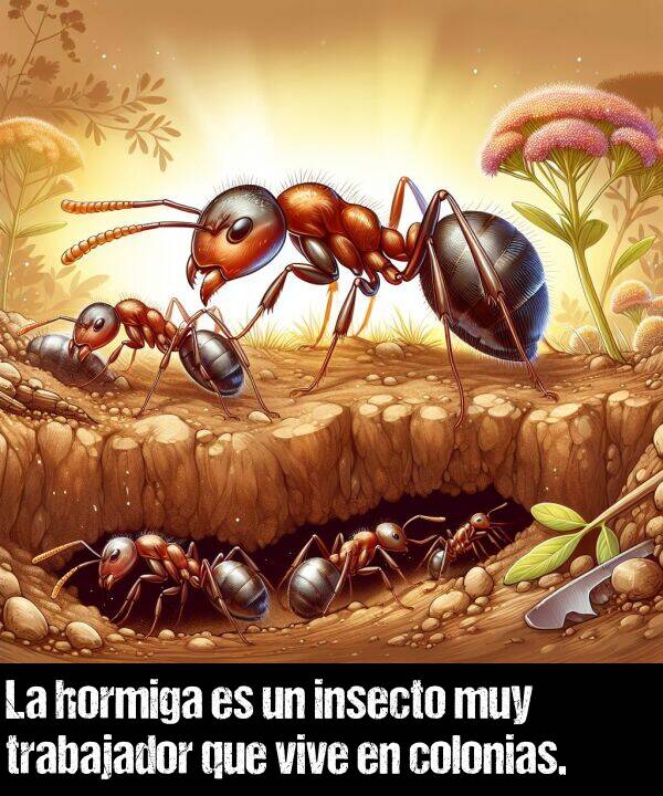 trabajador: La hormiga es un insecto muy trabajador que vive en colonias.