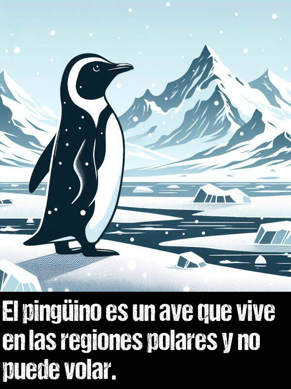 volar: El pingino es un ave que vive en las regiones polares y no puede volar.