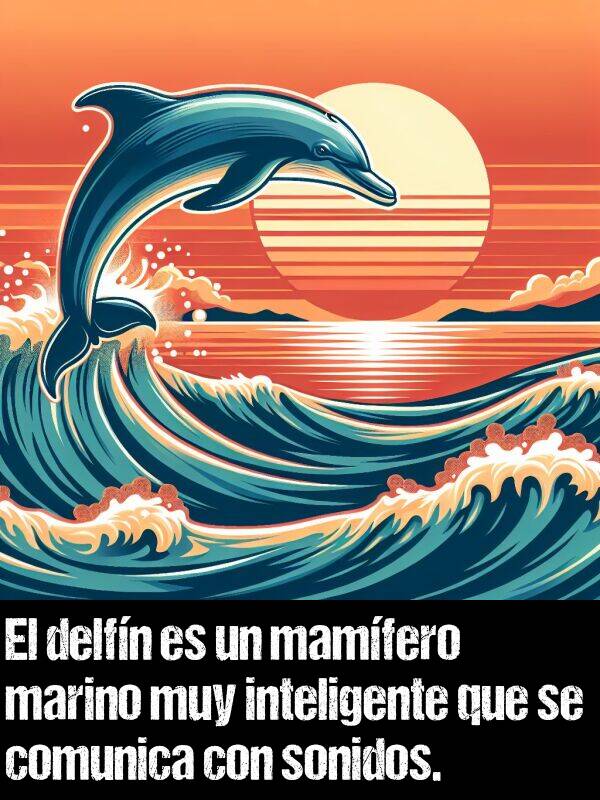 inteligente: El delfn es un mamfero marino muy inteligente que se comunica con sonidos.