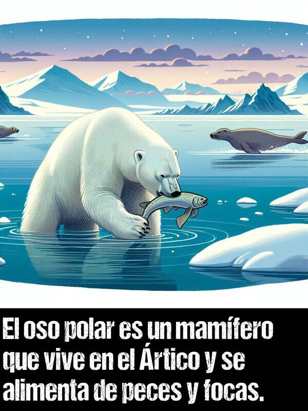 focas: El oso polar es un mamfero que vive en el rtico y se alimenta de peces y focas.