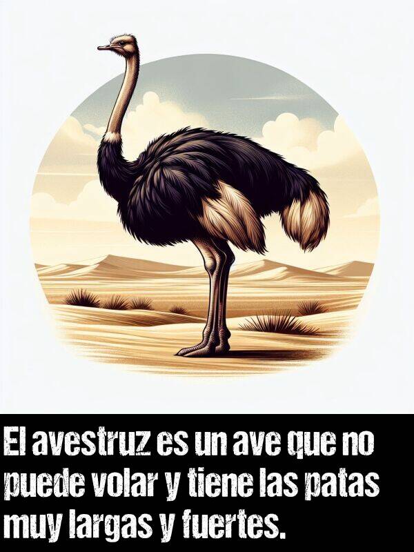 pata: El avestruz es un ave que no puede volar y tiene las patas muy largas y fuertes.