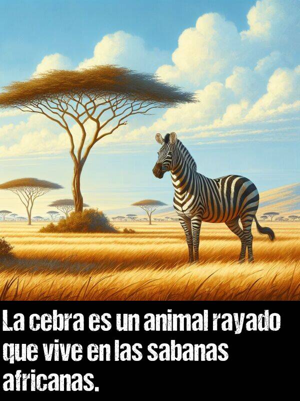 cebra: La cebra es un animal rayado que vive en las sabanas africanas.