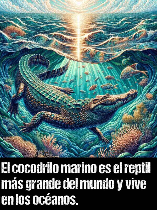 grande: El cocodrilo marino es el reptil ms grande del mundo y vive en los ocanos.