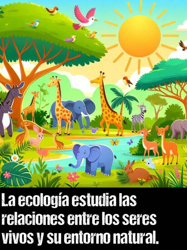 ecologa: La ecologa estudia las relaciones entre los seres vivos y su entorno natural.