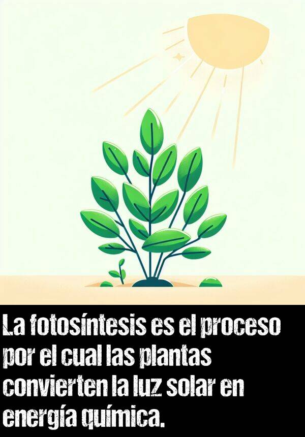 energa: La fotosntesis es el proceso por el cual las plantas convierten la luz solar en energa qumica.