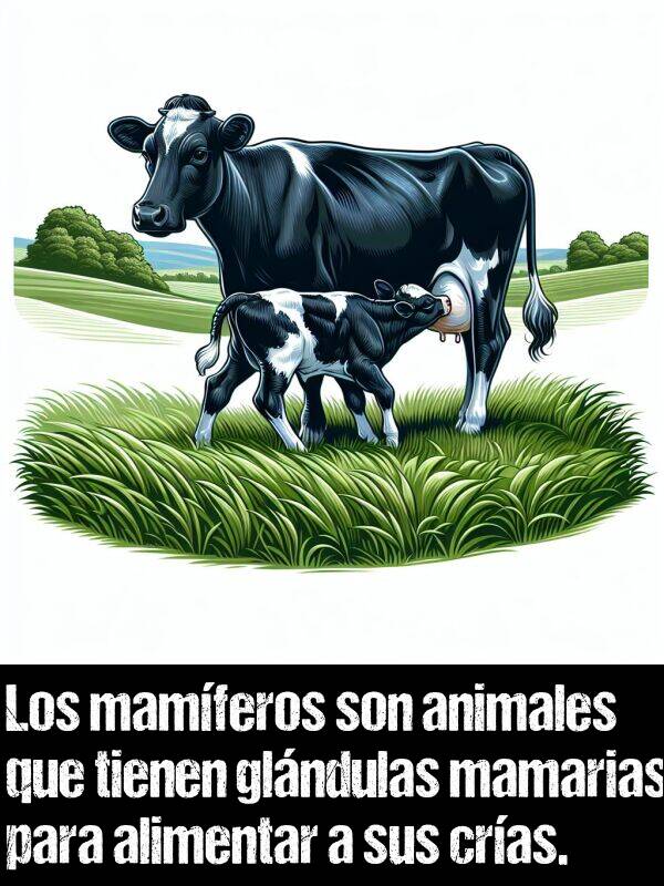 mamferos: Los mamferos son animales que tienen glndulas mamarias para alimentar a sus cras.