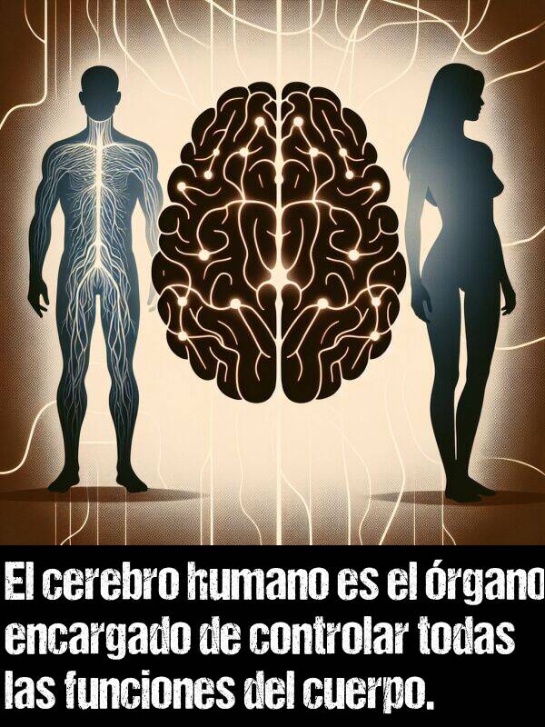 controlar: El cerebro humano es el rgano encargado de controlar todas las funciones del cuerpo.