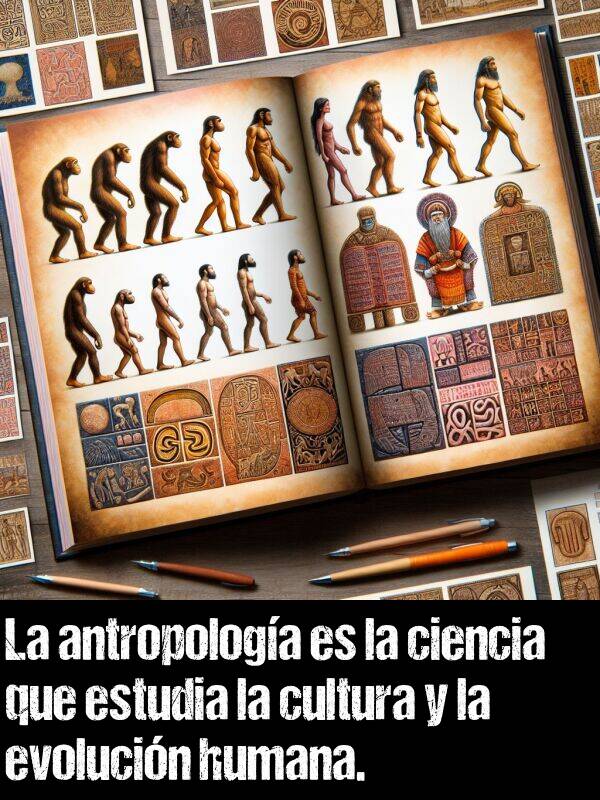 antropologa: La antropologa es la ciencia que estudia la cultura y la evolucin humana.