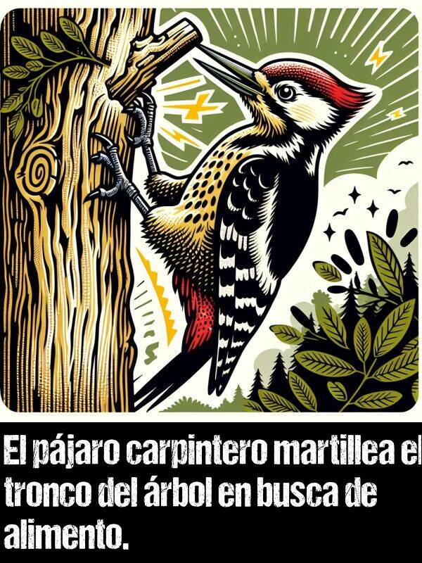 martillea: El pjaro carpintero martillea el tronco del rbol en busca de alimento.