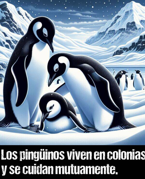 mutuamente: Los pinginos viven en colonias y se cuidan mutuamente.