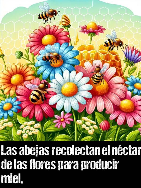 producir: Las abejas recolectan el nctar de las flores para producir miel.