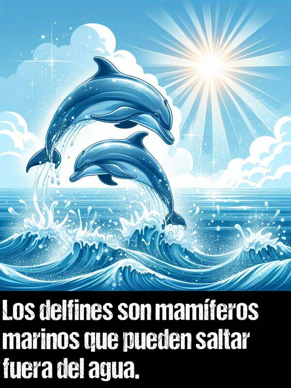 delfn: Los delfines son mamferos marinos que pueden saltar fuera del agua.