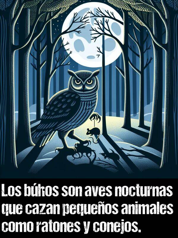 conejos: Los bhos son aves nocturnas que cazan pequeos animales como ratones y conejos.