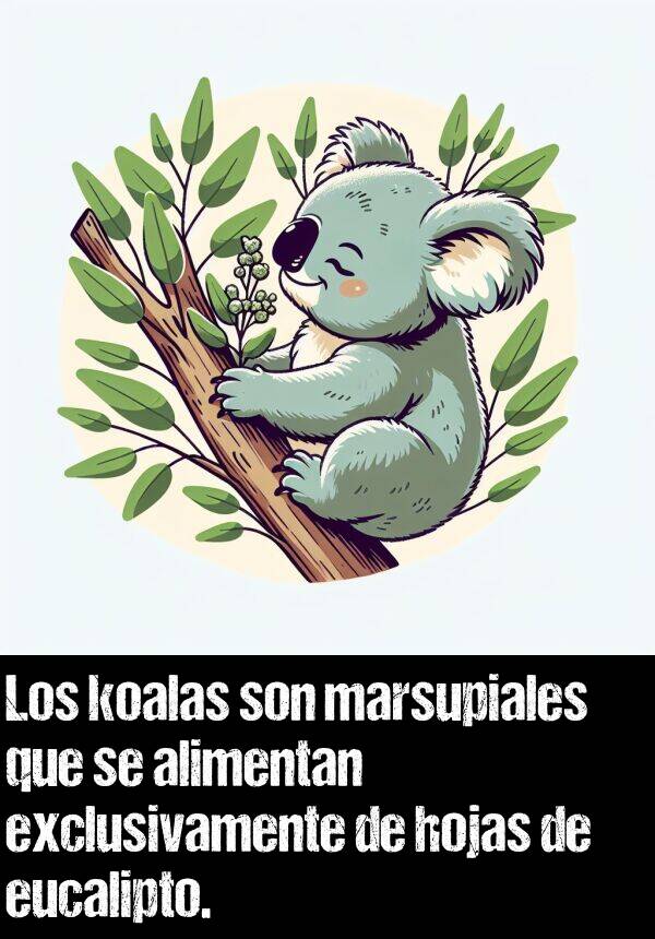 exclusivamente: Los koalas son marsupiales que se alimentan exclusivamente de hojas de eucalipto.