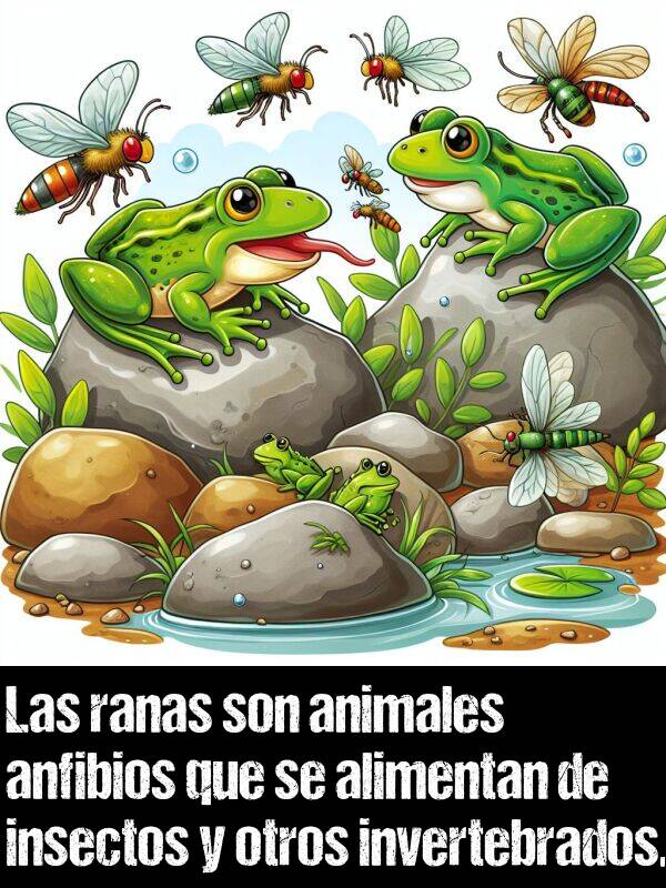 invertebrados: Las ranas son animales anfibios que se alimentan de insectos y otros invertebrados.