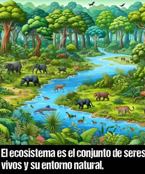 conjunto: El ecosistema es el conjunto de seres vivos y su entorno natural.