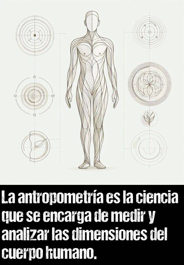 analizar: La antropometra es la ciencia que se encarga de medir y analizar las dimensiones del cuerpo humano.