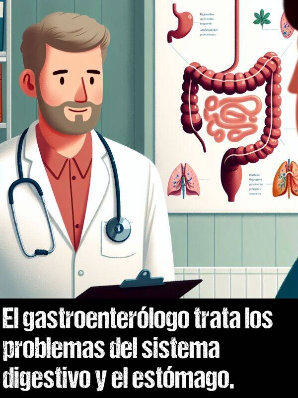 estmago: El gastroenterlogo trata los problemas del sistema digestivo y el estmago.