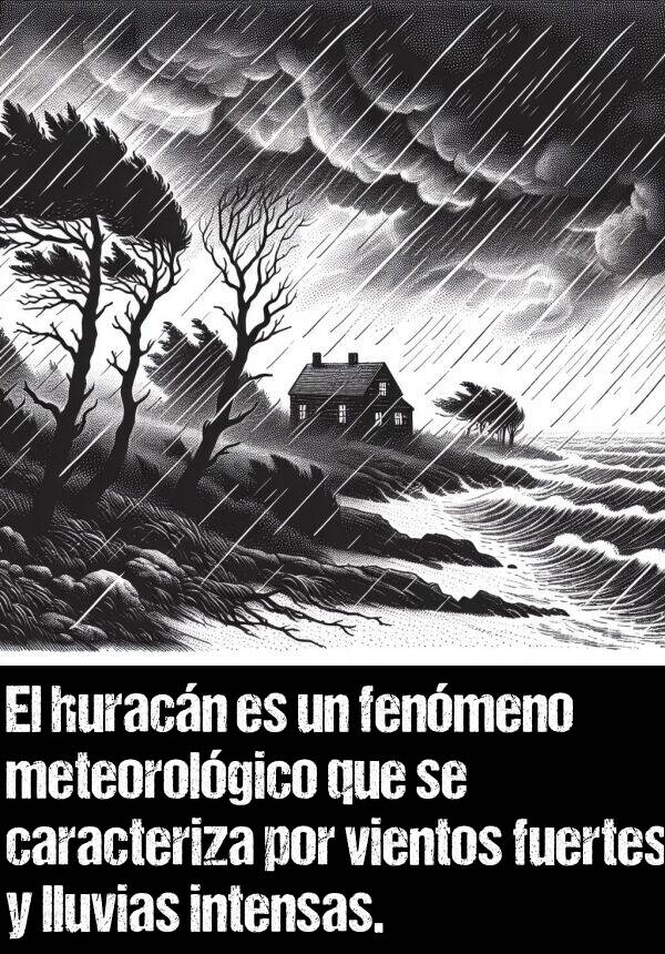 fenmeno: El huracn es un fenmeno meteorolgico que se caracteriza por vientos fuertes y lluvias intensas.