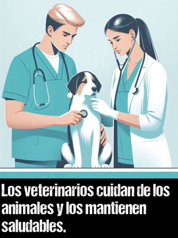 animales: Los veterinarios cuidan de los animales y los mantienen saludables.