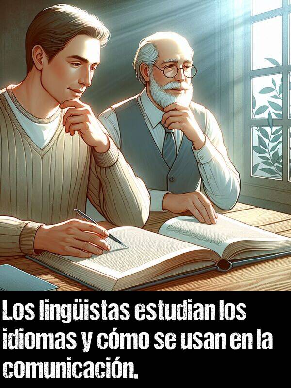 lingista: Los lingistas estudian los idiomas y cmo se usan en la comunicacin.