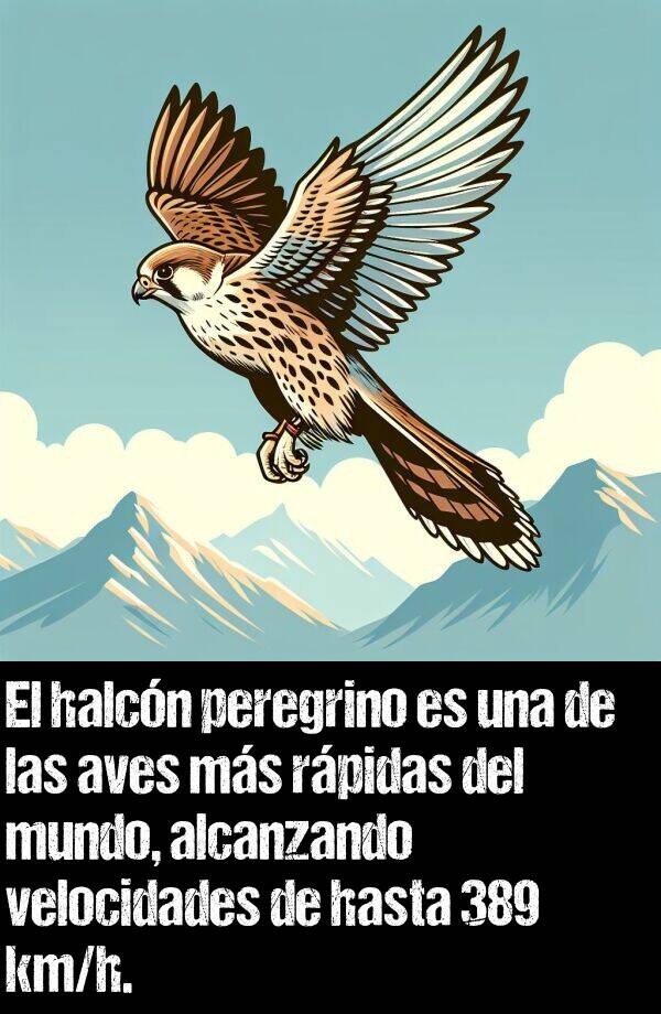 h: El halcn peregrino es una de las aves ms rpidas del mundo, alcanzando velocidades de hasta 389 km/h.