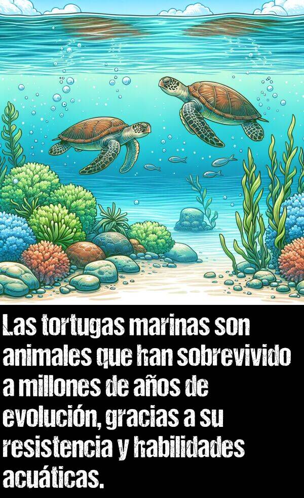 acuticas: Las tortugas marinas son animales que han sobrevivido a millones de aos de evolucin, gracias a su resistencia y habilidades acuticas.