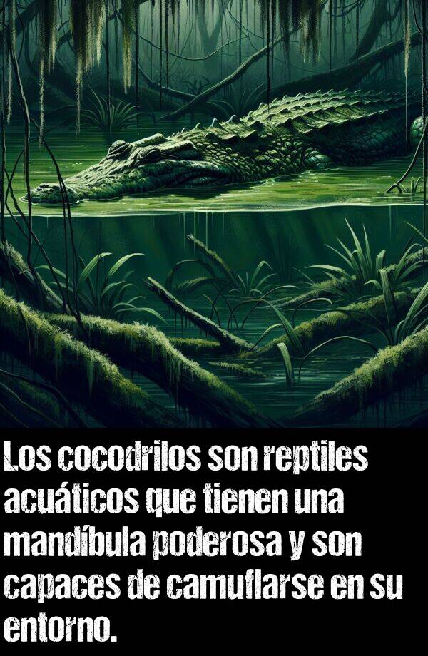 reptiles: Los cocodrilos son reptiles acuticos que tienen una mandbula poderosa y son capaces de camuflarse en su entorno.