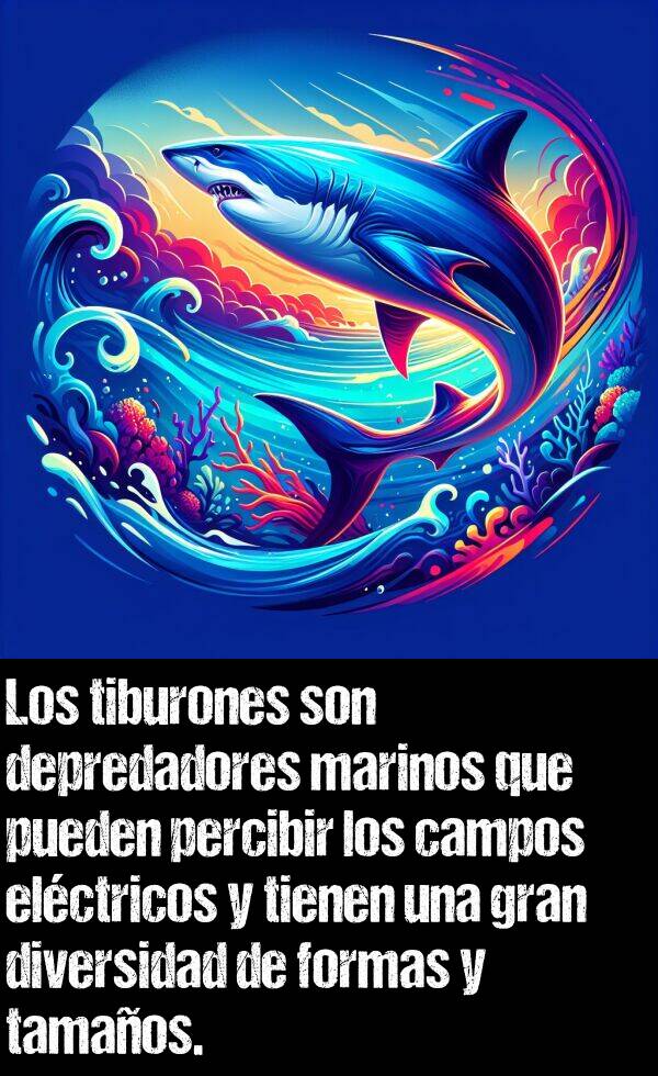 percibir: Los tiburones son depredadores marinos que pueden percibir los campos elctricos y tienen una gran diversidad de formas y tamaos.