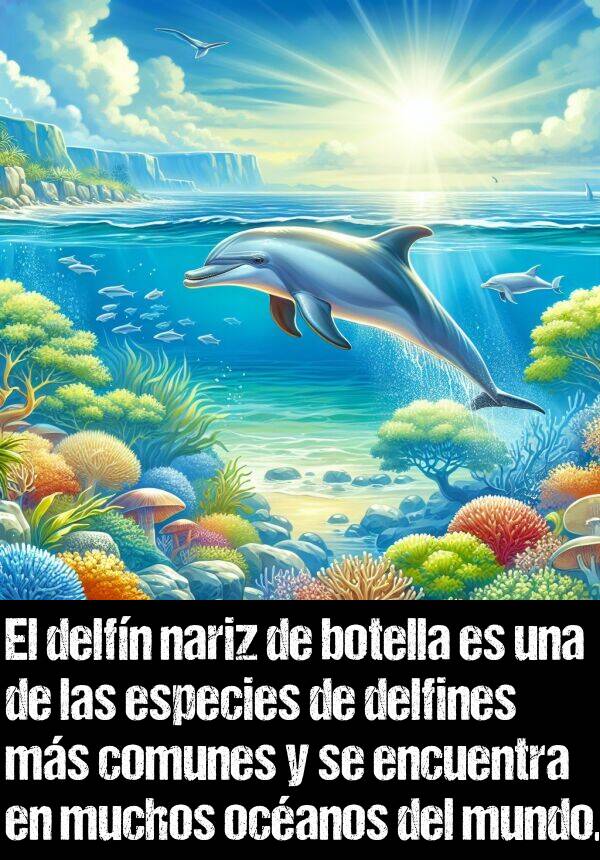 botella: El delfn nariz de botella es una de las especies de delfines ms comunes y se encuentra en muchos ocanos del mundo.