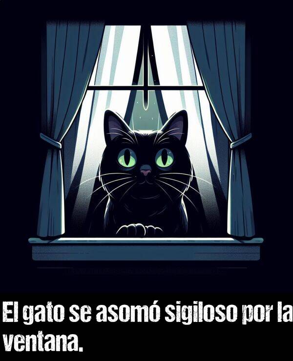 gato: El gato se asom sigiloso por la ventana.