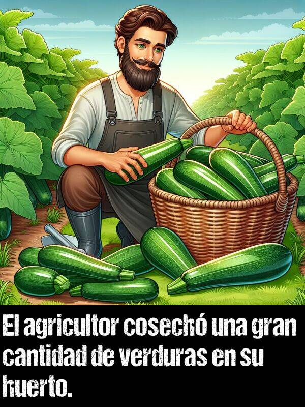 cantidad: El agricultor cosech una gran cantidad de verduras en su huerto.