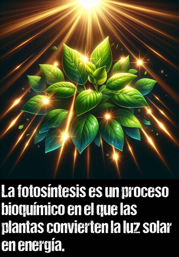 fotosntesis: La fotosntesis es un proceso bioqumico en el que las plantas convierten la luz solar en energa.