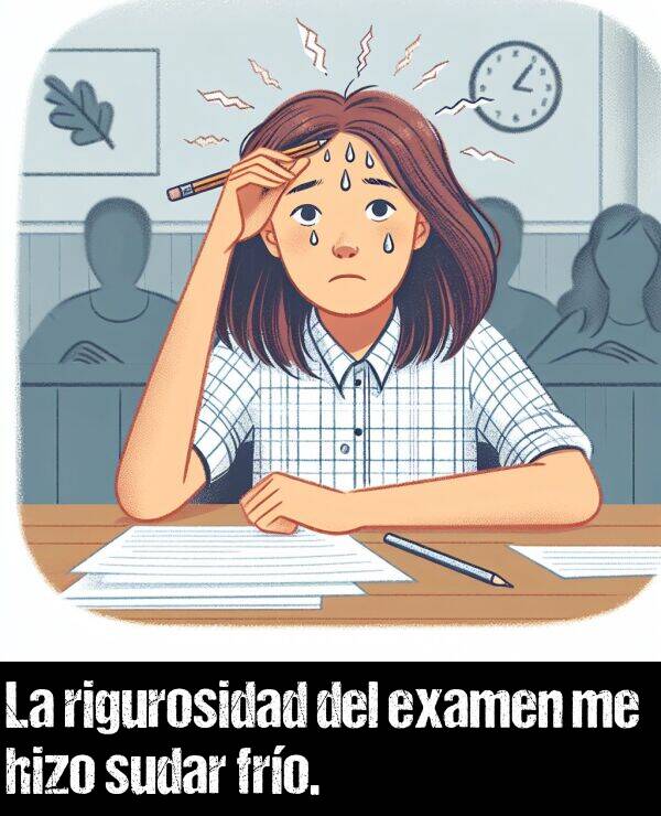 rigurosidad: La rigurosidad del examen me hizo sudar fro.