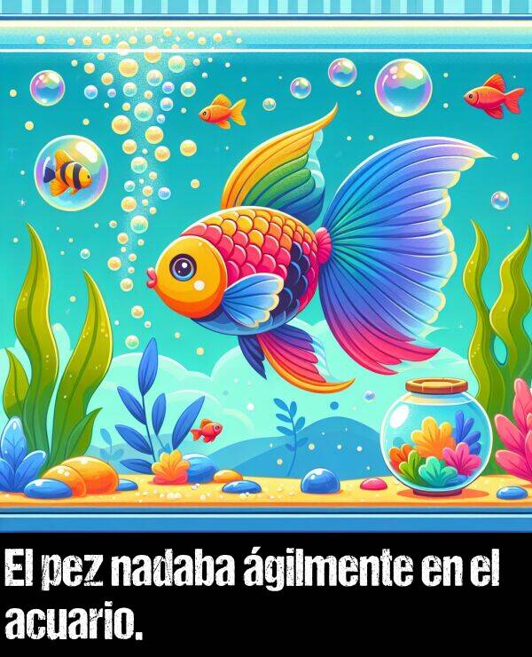 acuario: El pez nadaba gilmente en el acuario.