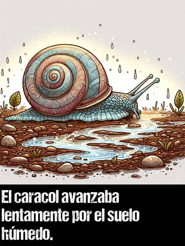 avanzaba: El caracol avanzaba lentamente por el suelo hmedo.