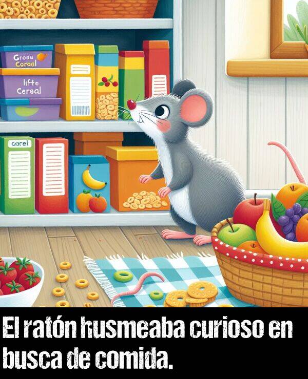 comida: El ratn husmeaba curioso en busca de comida.