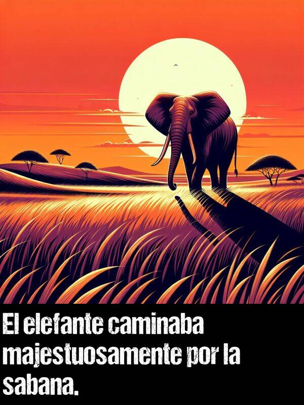 elefante: El elefante caminaba majestuosamente por la sabana.