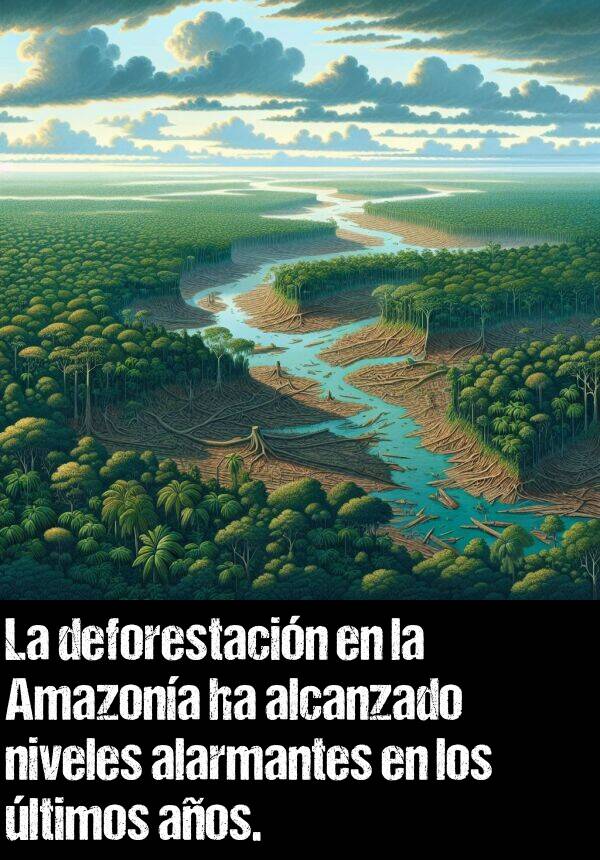 deforestacin: La deforestacin en la Amazona ha alcanzado niveles alarmantes en los ltimos aos.