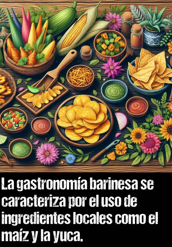 uso: La gastronoma barinesa se caracteriza por el uso de ingredientes locales como el maz y la yuca.