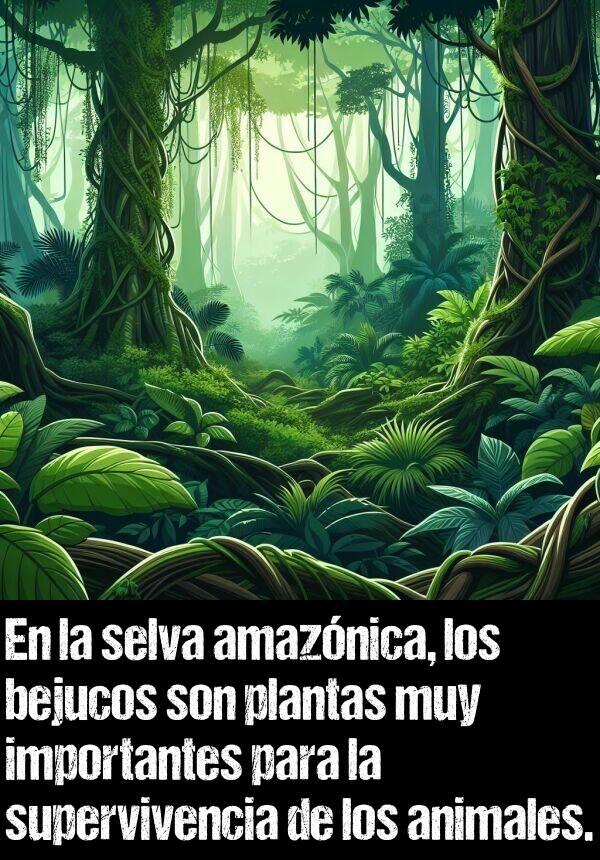 bejucos: En la selva amaznica, los bejucos son plantas muy importantes para la supervivencia de los animales.