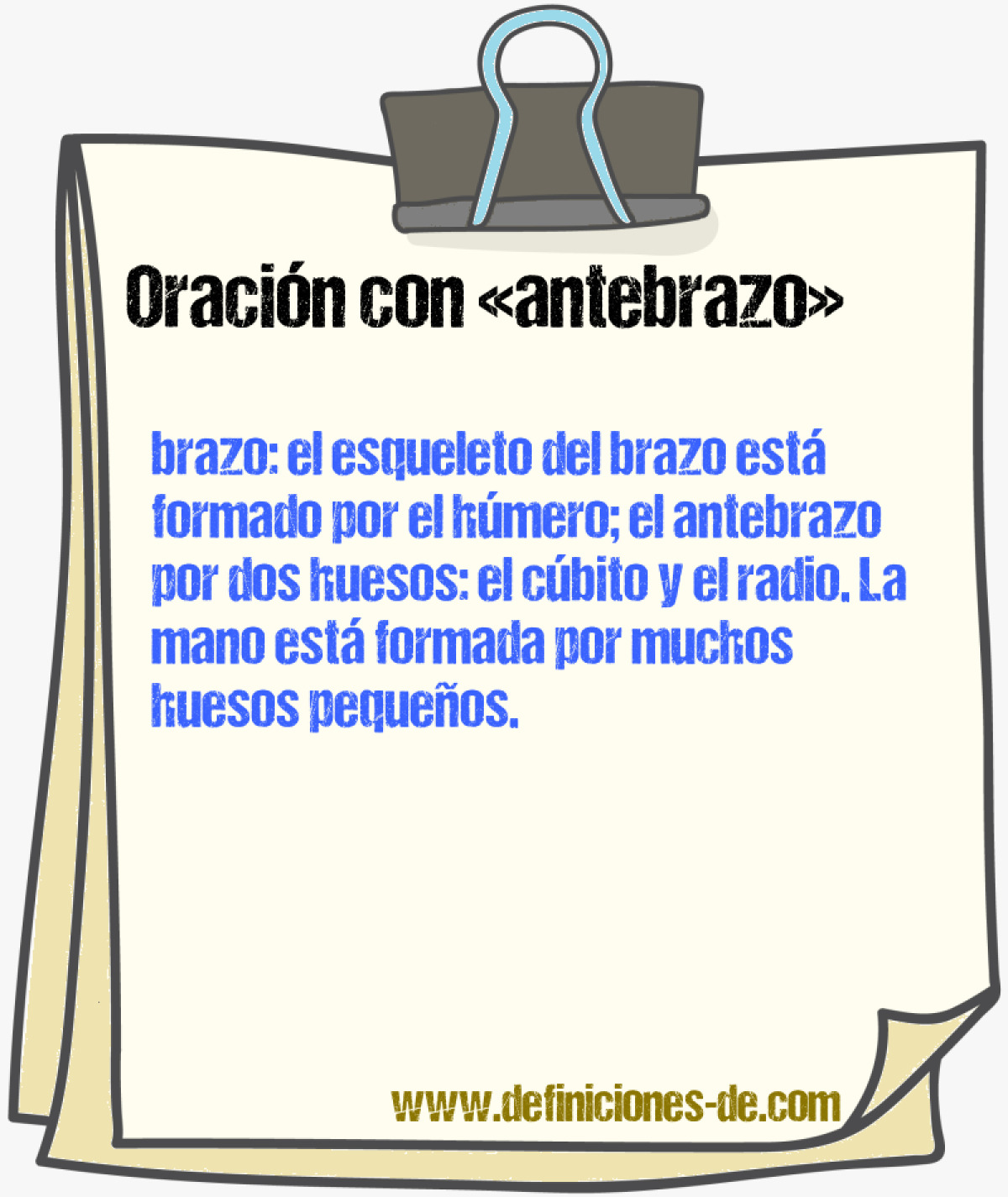 Ejemplos de oraciones con antebrazo