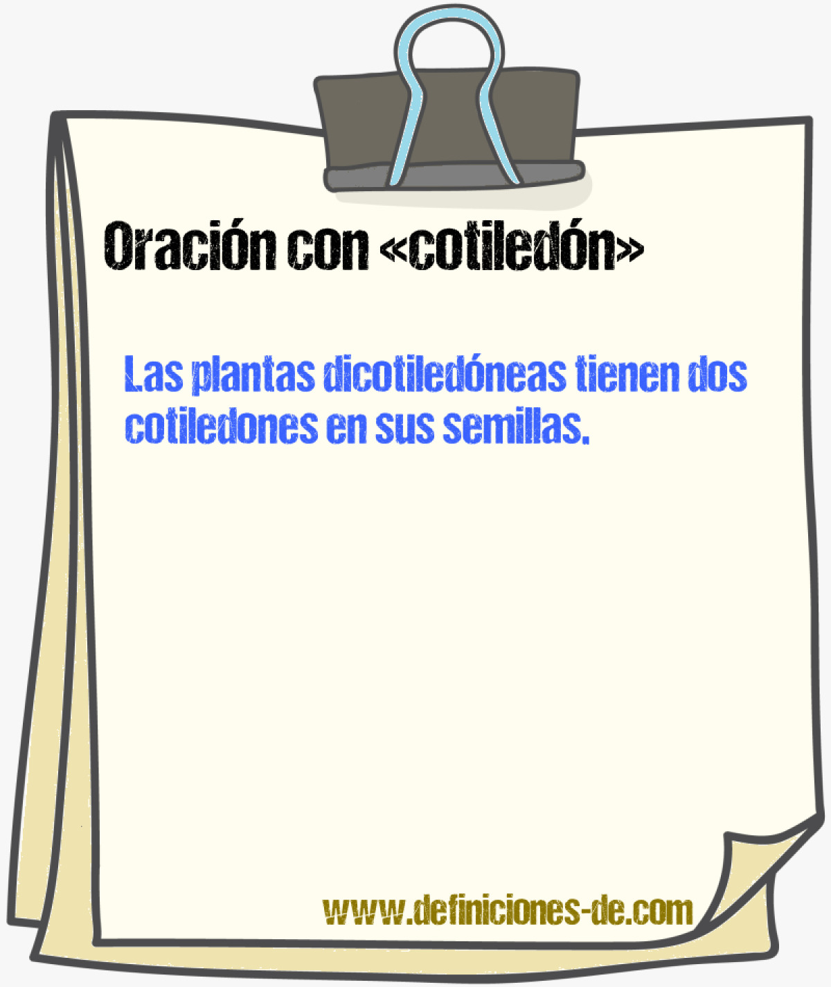 Ejemplos de oraciones con cotiledn