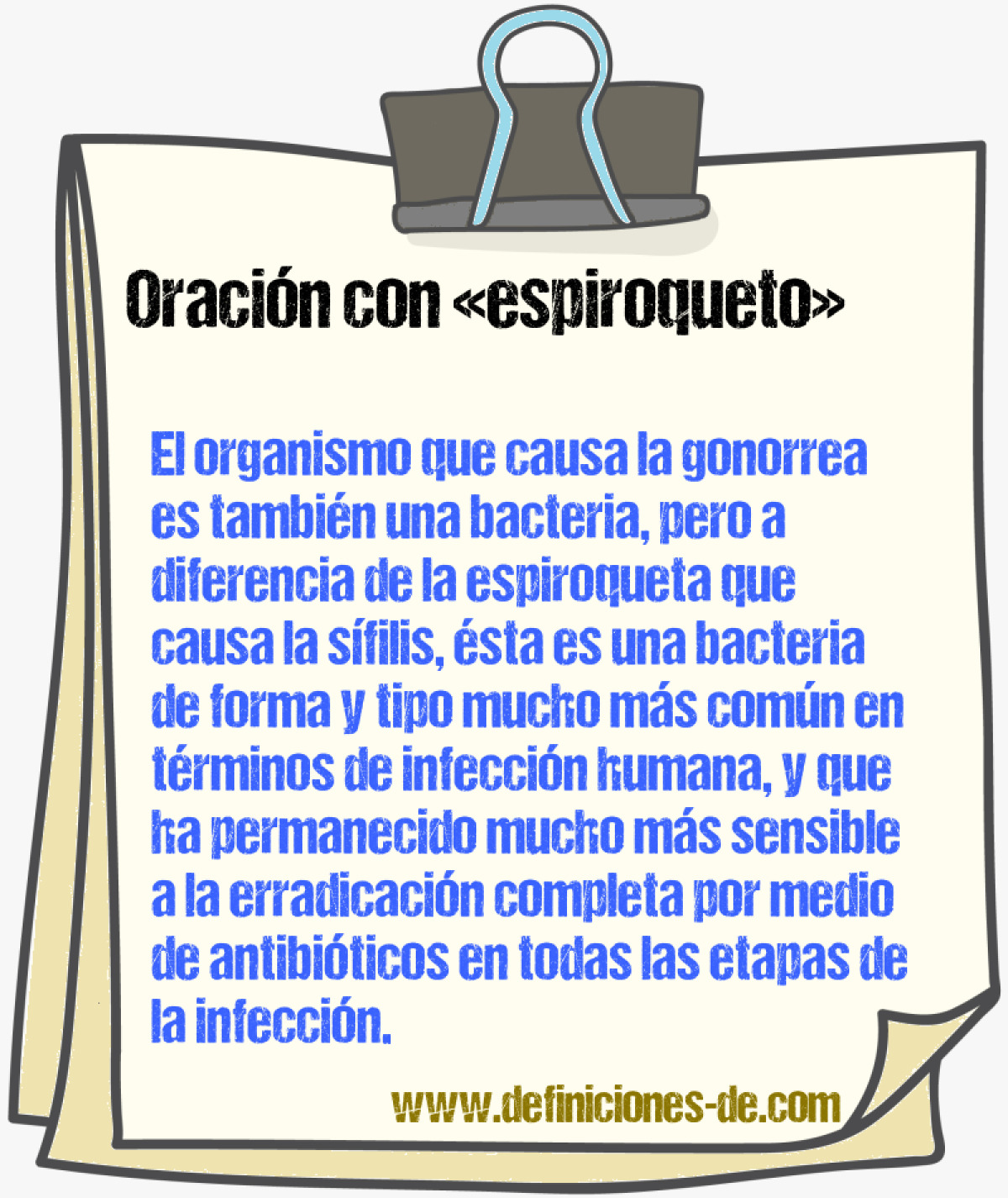 Ejemplos de oraciones con espiroqueto